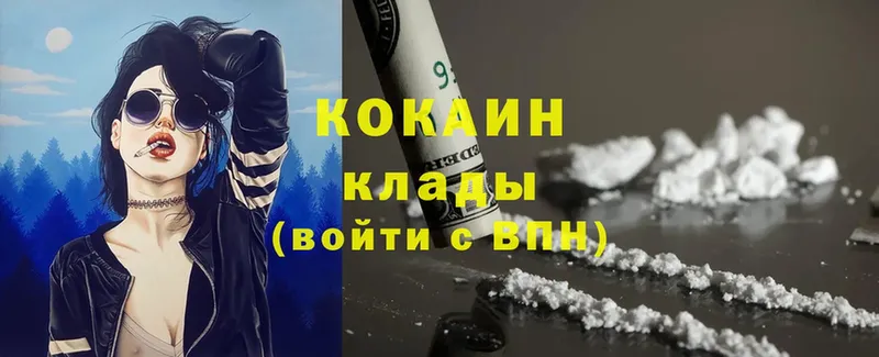 ссылка на мегу как войти  Сорск  Кокаин Fish Scale 