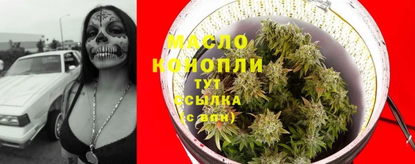 молекула духа Нягань