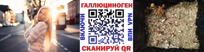 Псилоцибиновые грибы GOLDEN TEACHER  Сорск 